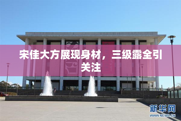 宋佳大方展现身材，三级露全引关注