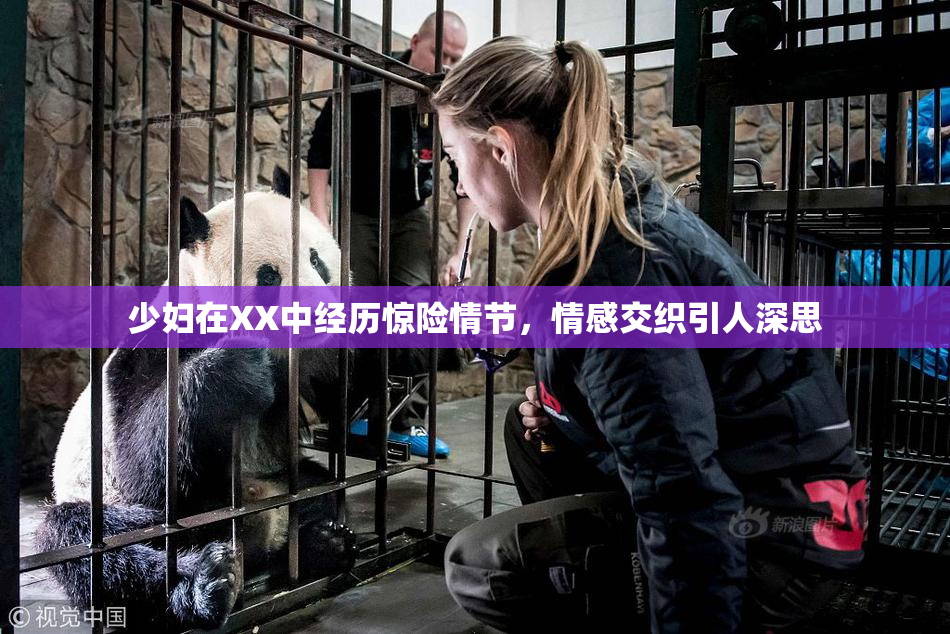 少妇在XX中经历惊险情节，情感交织引人深思