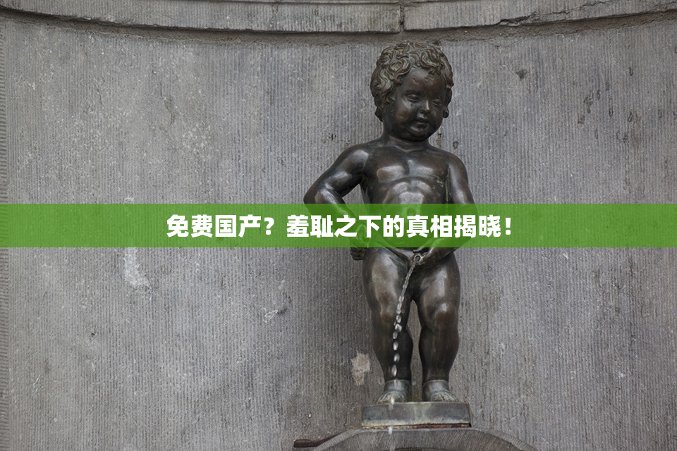 免费国产？羞耻之下的真相揭晓！