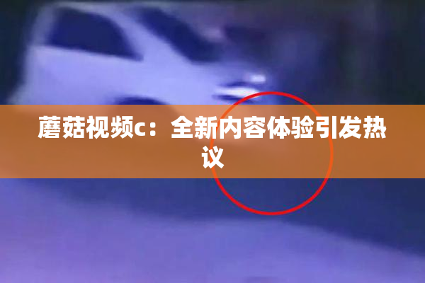 蘑菇视频c：全新内容体验引发热议
