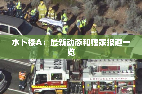 水卜樱A：最新动态和独家报道一览