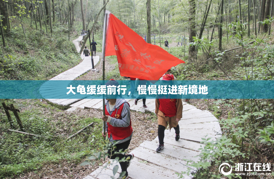 大龟缓缓前行，慢慢挺进新境地