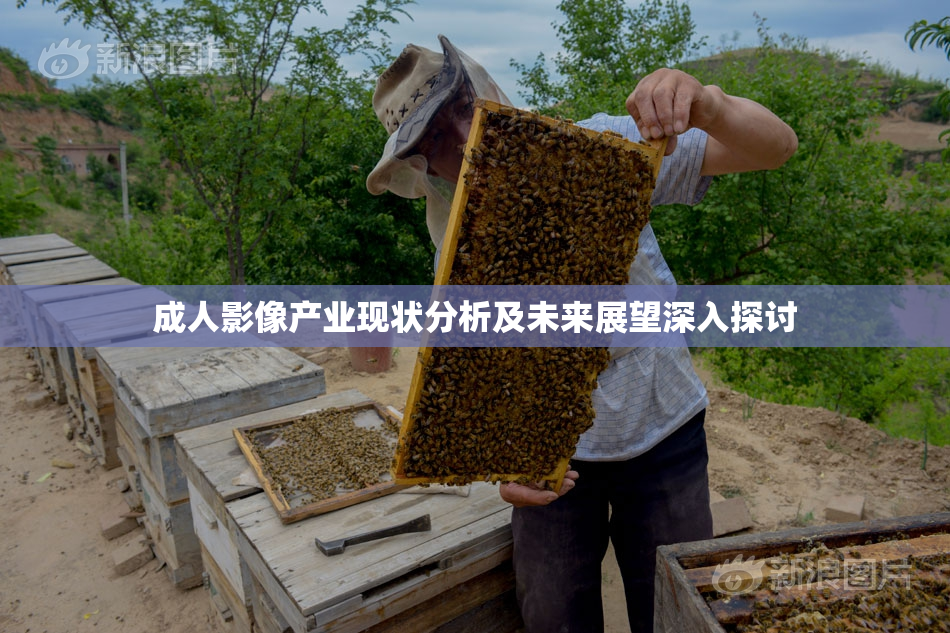 成人影像产业现状分析及未来展望深入探讨