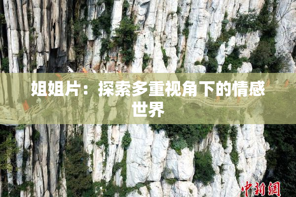 姐姐片：探索多重视角下的情感世界