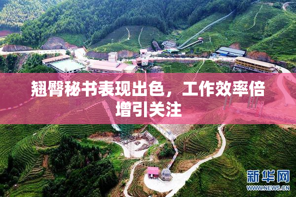 翘臀秘书表现出色，工作效率倍增引关注