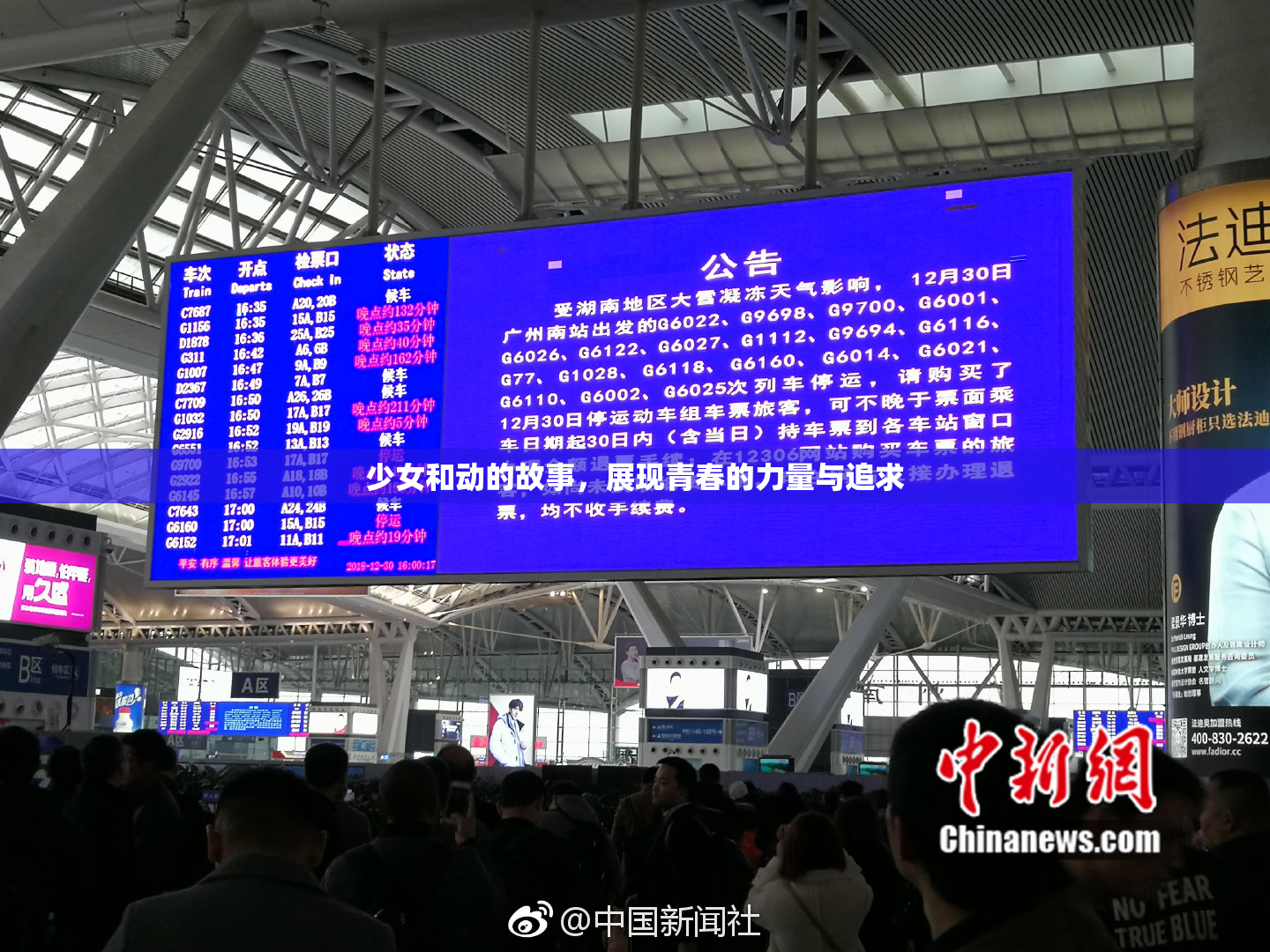 少女和动的故事，展现青春的力量与追求