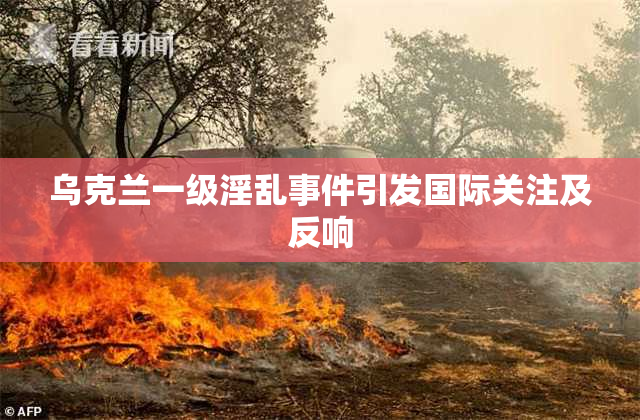 乌克兰一级淫乱事件引发国际关注及反响