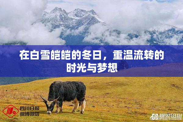 在白雪皑皑的冬日，重温流转的时光与梦想