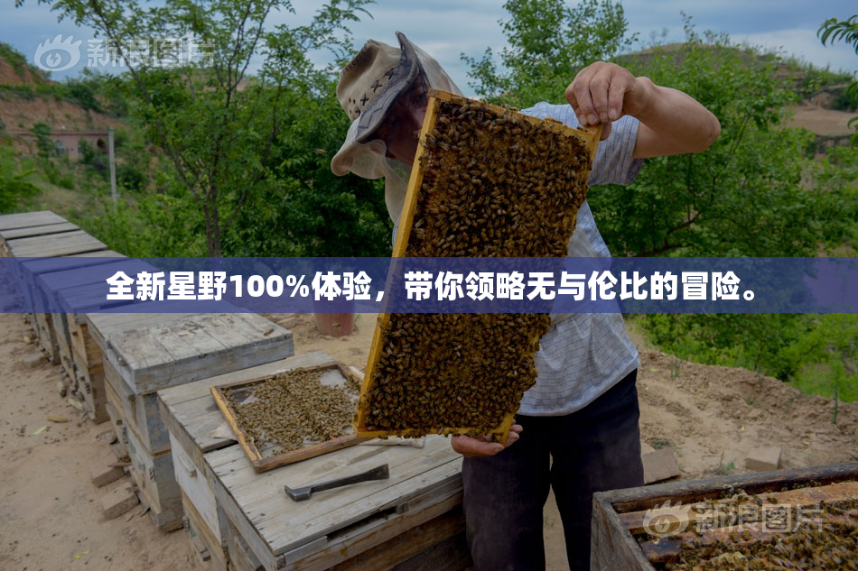 全新星野100%体验，带你领略无与伦比的冒险。