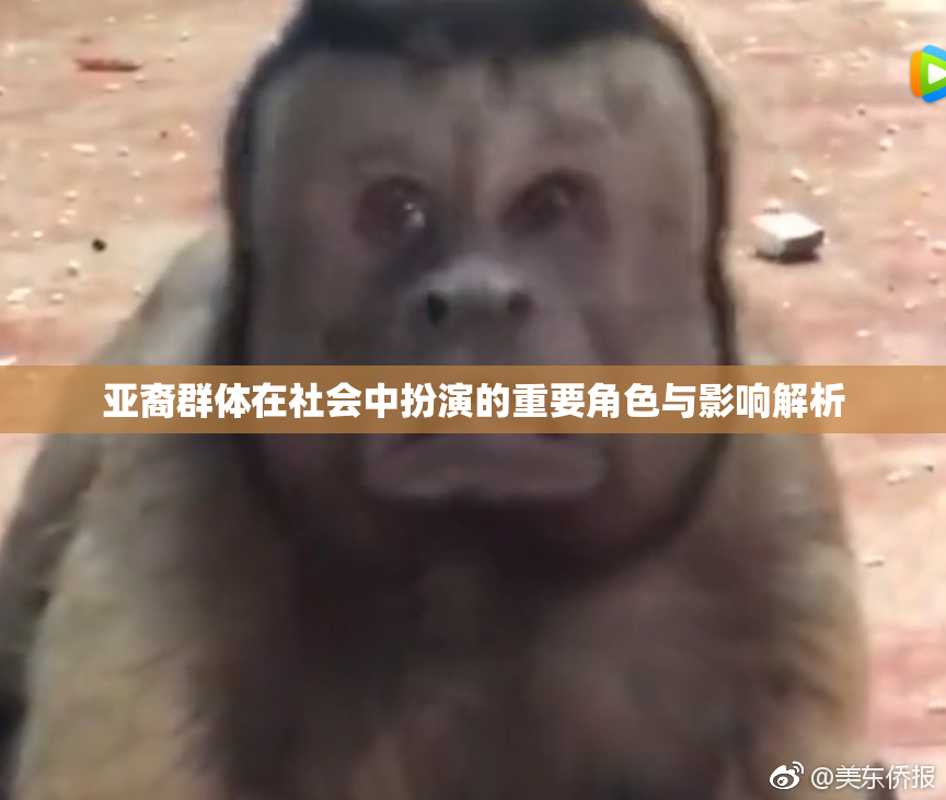 亚裔群体在社会中扮演的重要角色与影响解析