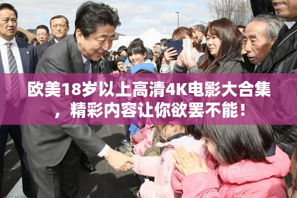 欧美18岁以上高清4K电影大合集，精彩内容让你欲罢不能！