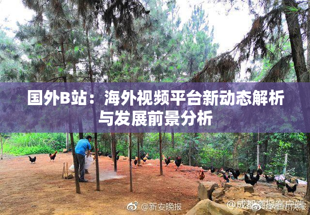 国外B站：海外视频平台新动态解析与发展前景分析