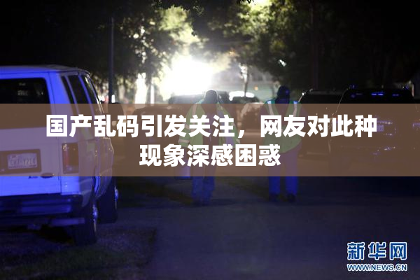 国产乱码引发关注，网友对此种现象深感困惑