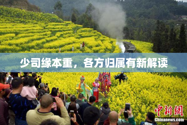 少司缘本重，各方归属有新解读
