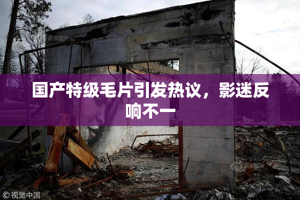 国产特级毛片引发热议，影迷反响不一