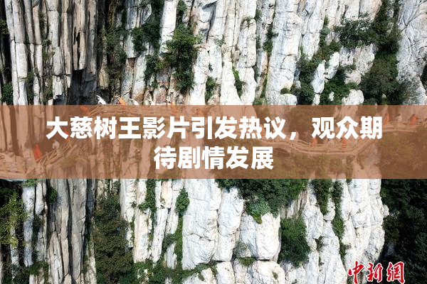 大慈树王影片引发热议，观众期待剧情发展