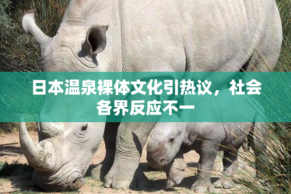 日本温泉裸体文化引热议，社会各界反应不一
