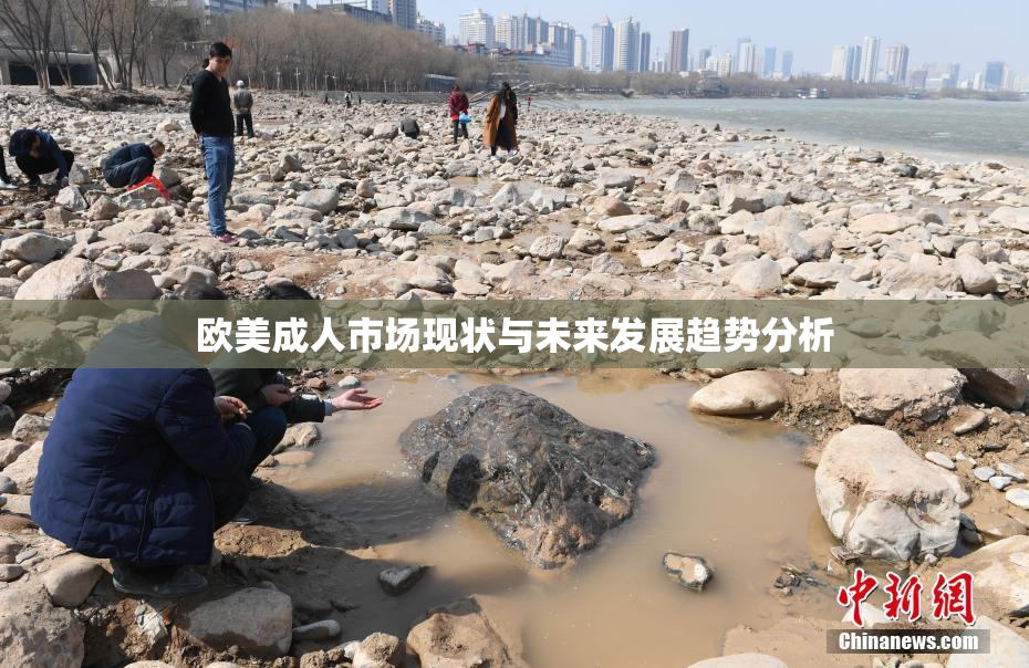 欧美成人市场现状与未来发展趋势分析