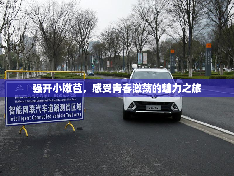 强开小嫩苞，感受青春激荡的魅力之旅