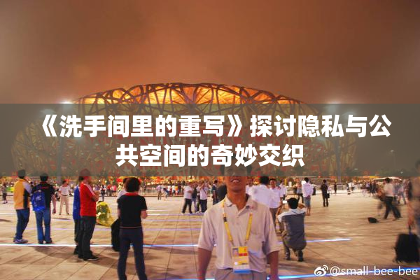 《洗手间里的重写》探讨隐私与公共空间的奇妙交织