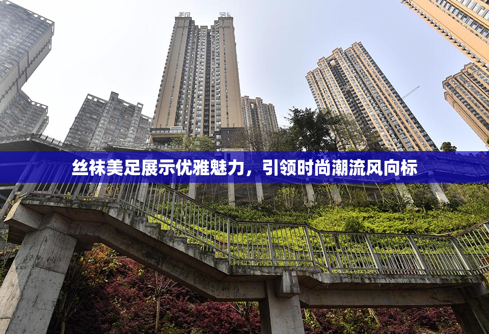 丝袜美足展示优雅魅力，引领时尚潮流风向标