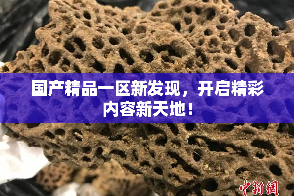 国产精品一区新发现，开启精彩内容新天地！