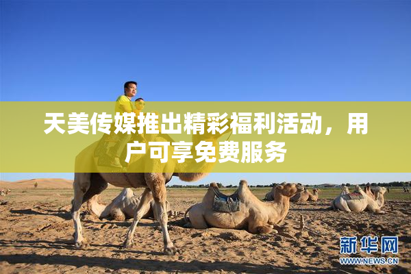 天美传媒推出精彩福利活动，用户可享免费服务