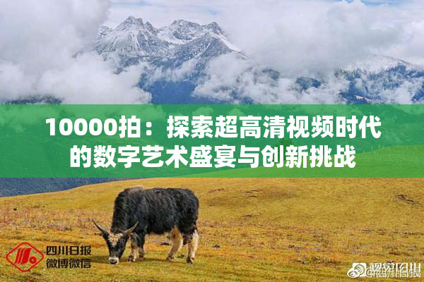 10000拍：探索超高清视频时代的数字艺术盛宴与创新挑战