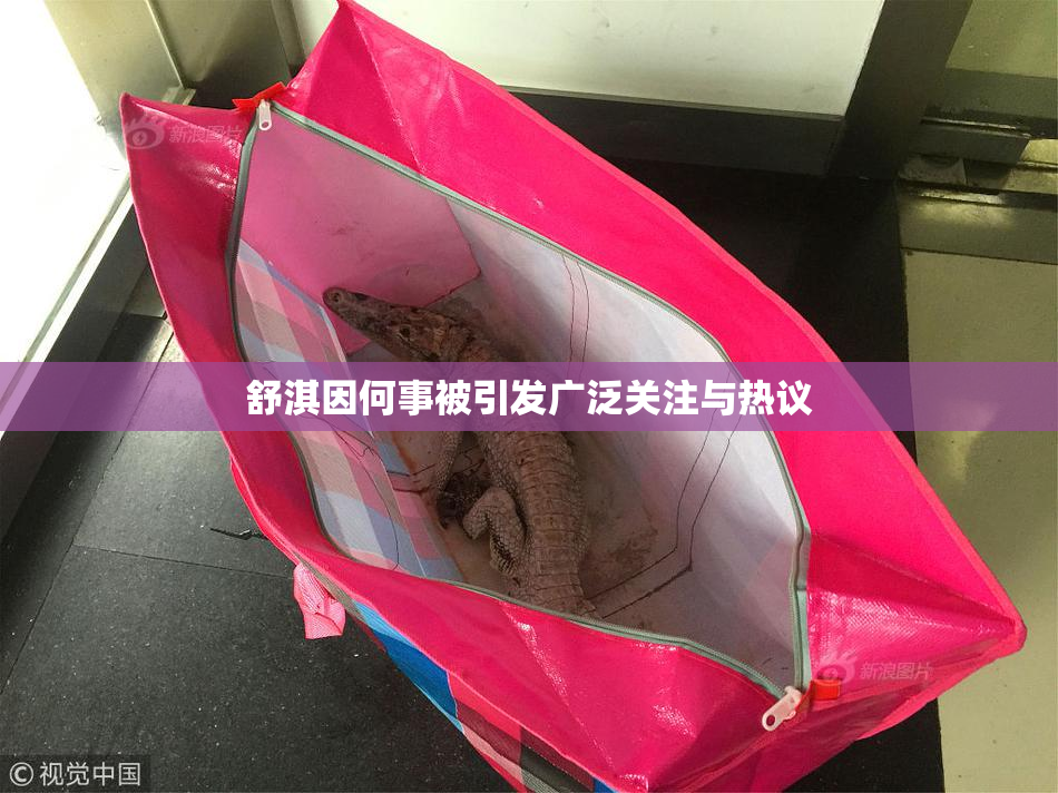 舒淇因何事被引发广泛关注与热议