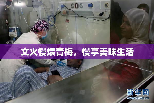 文火慢煨青梅，慢享美味生活