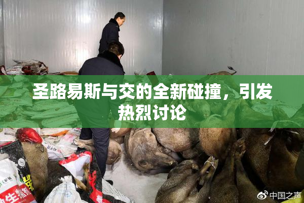 圣路易斯与交的全新碰撞，引发热烈讨论