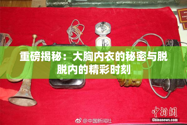 重磅揭秘：大胸内衣的秘密与脱脱内的精彩时刻
