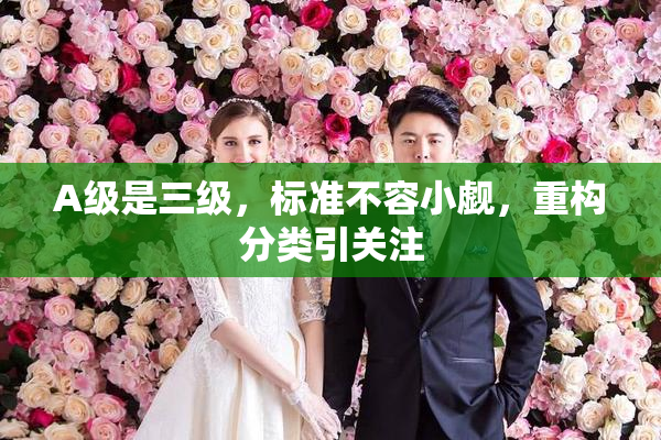 A级是三级，标准不容小觑，重构分类引关注
