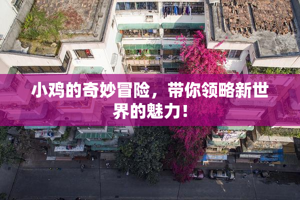 小鸡的奇妙冒险，带你领略新世界的魅力！
