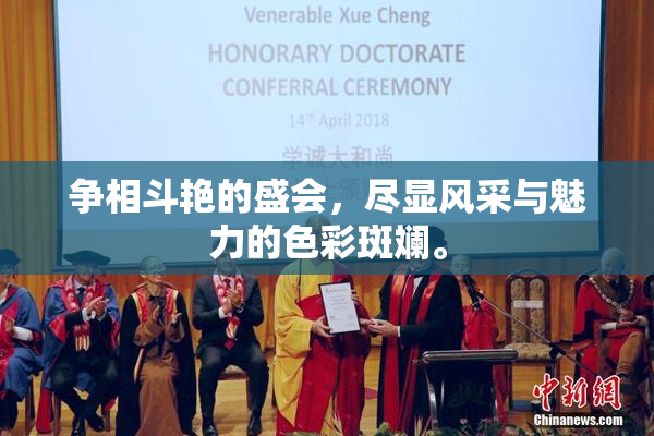 争相斗艳的盛会，尽显风采与魅力的色彩斑斓。