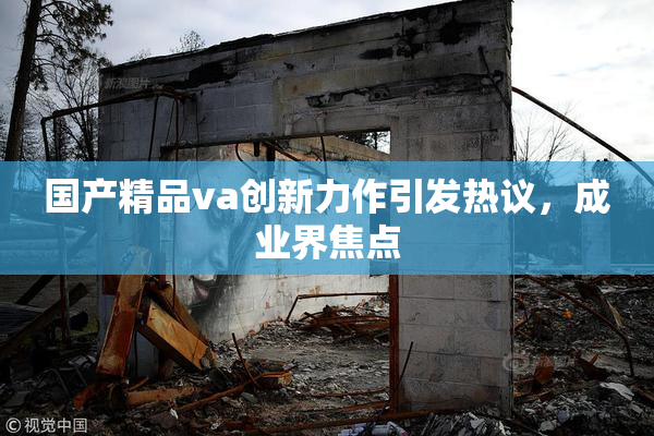 国产精品va创新力作引发热议，成业界焦点