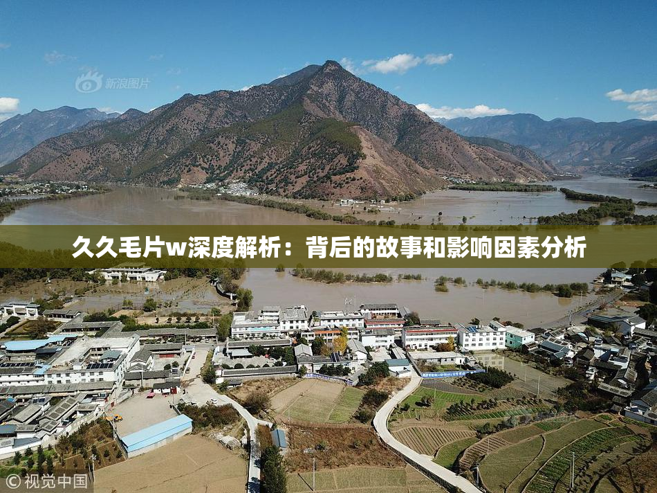 久久毛片w深度解析：背后的故事和影响因素分析