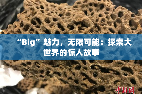 “Big”魅力，无限可能：探索大世界的惊人故事