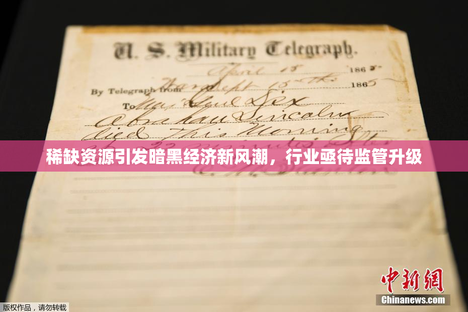 稀缺资源引发暗黑经济新风潮，行业亟待监管升级