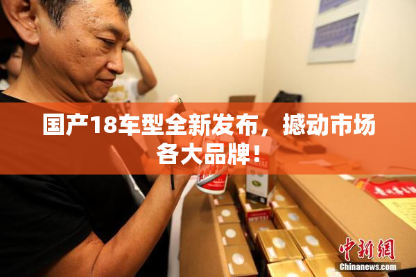 国产18车型全新发布，撼动市场各大品牌！