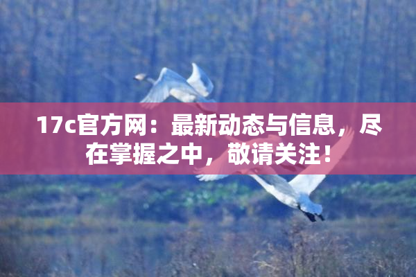 17c官方网：最新动态与信息，尽在掌握之中，敬请关注！