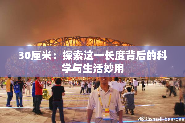 30厘米：探索这一长度背后的科学与生活妙用
