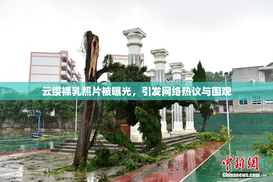 云缨裸乳照片被曝光，引发网络热议与围观