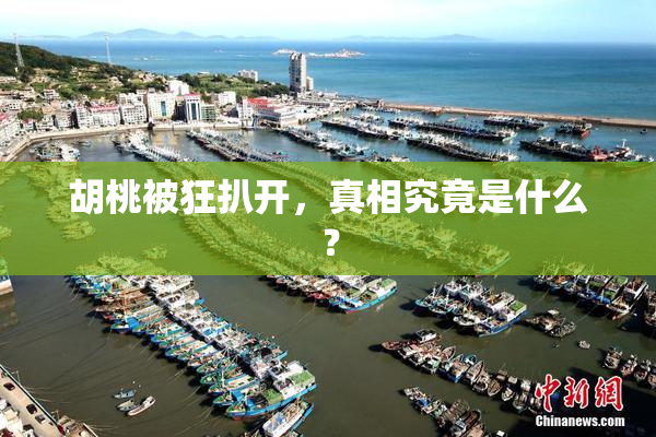 胡桃被狂扒开，真相究竟是什么？