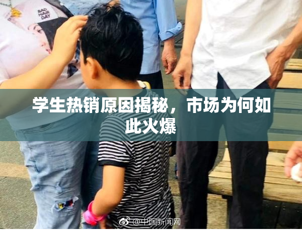 学生热销原因揭秘，市场为何如此火爆