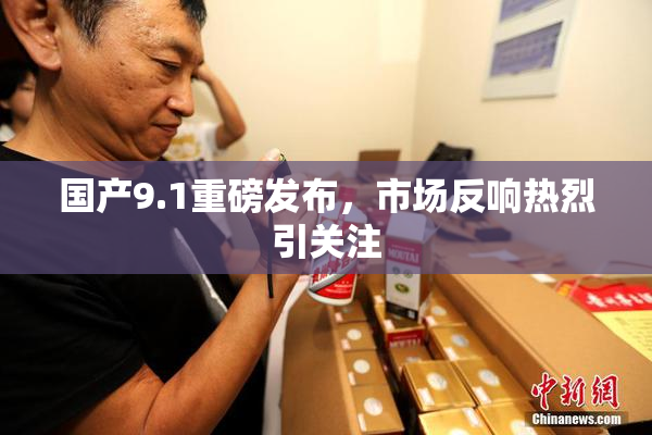 国产9.1重磅发布，市场反响热烈引关注