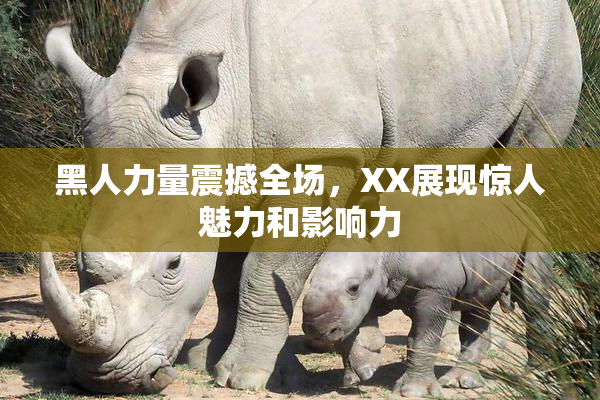 黑人力量震撼全场，XX展现惊人魅力和影响力