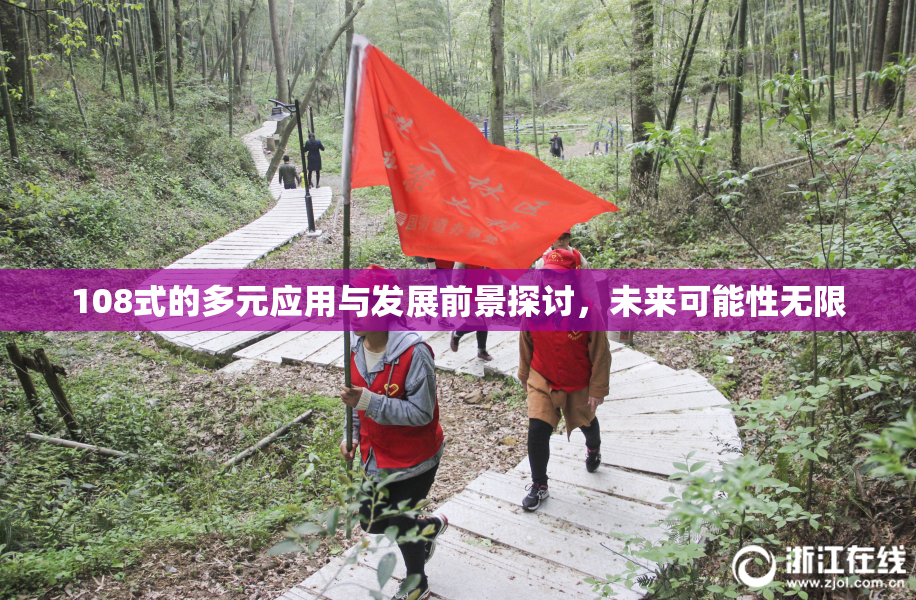 108式的多元应用与发展前景探讨，未来可能性无限