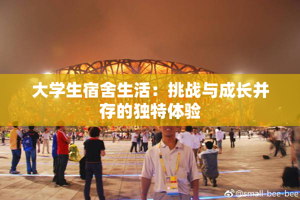 大学生宿舍生活：挑战与成长并存的独特体验