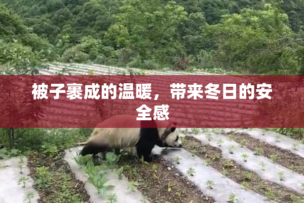 被子裹成的温暖，带来冬日的安全感